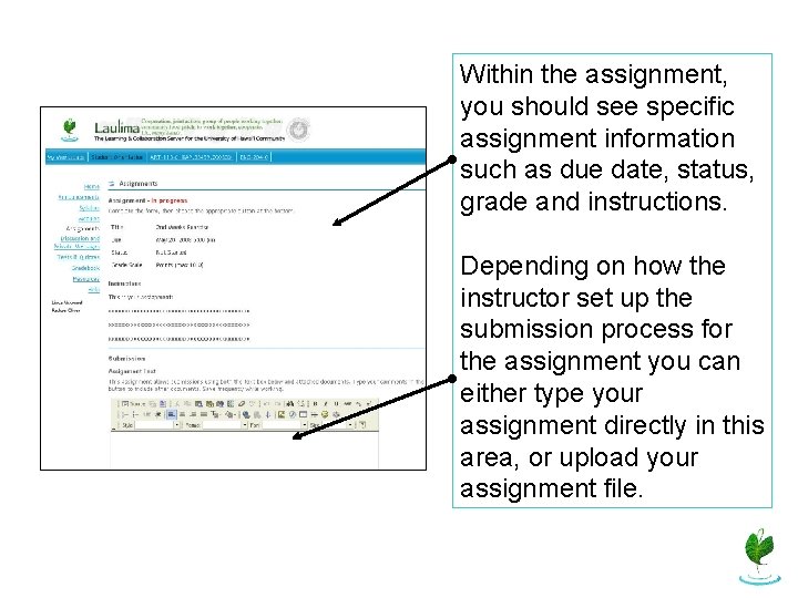 Within the assignment, you should see specific assignment information such as due date, status,