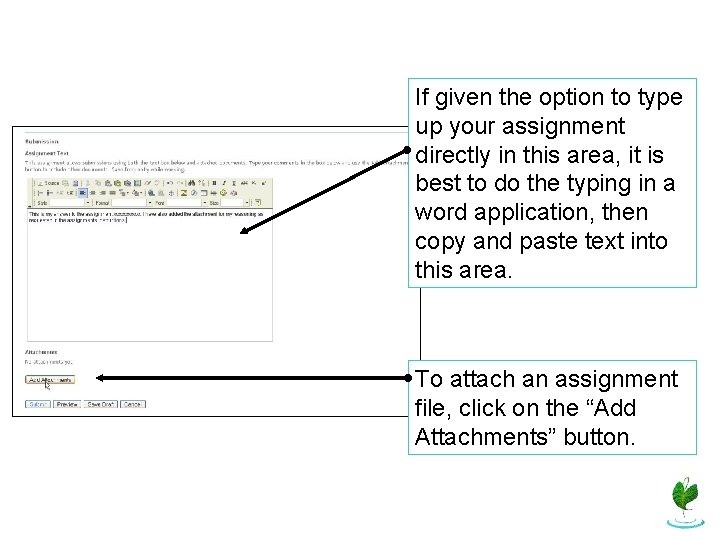 If given the option to type up your assignment directly in this area, it