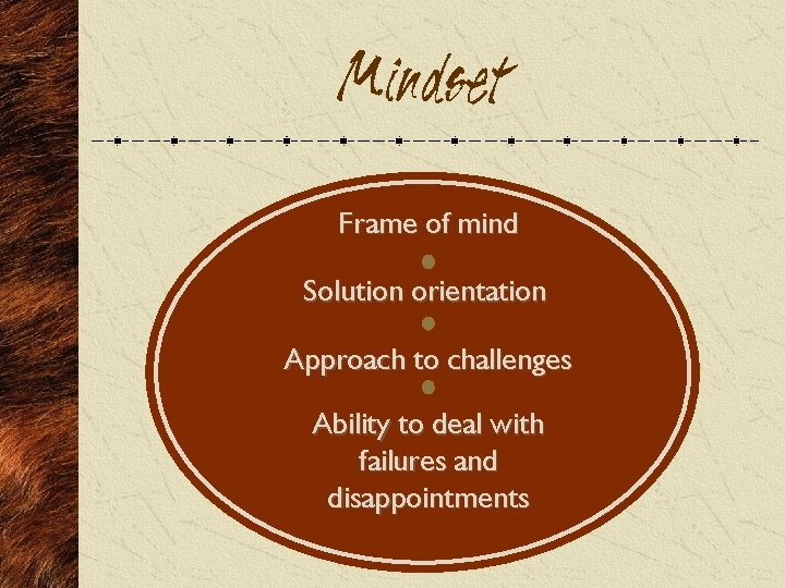 Mindset Frame of mind Solution orientation Approach to challenges Ability to deal with failures