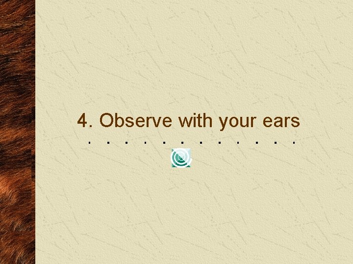 4. Observe with your ears 