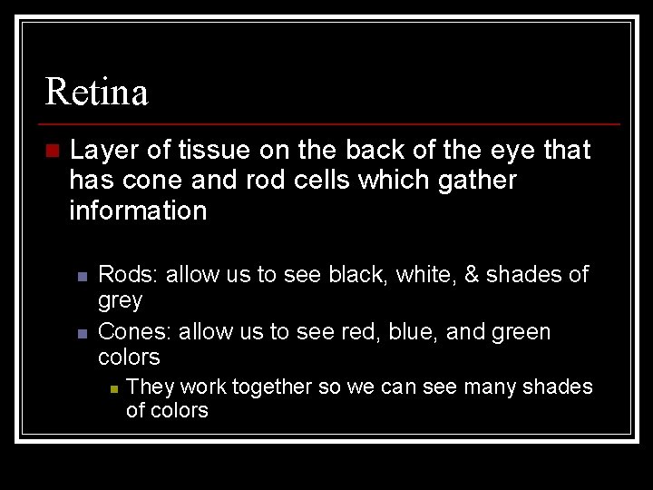 Retina n Layer of tissue on the back of the eye that has cone