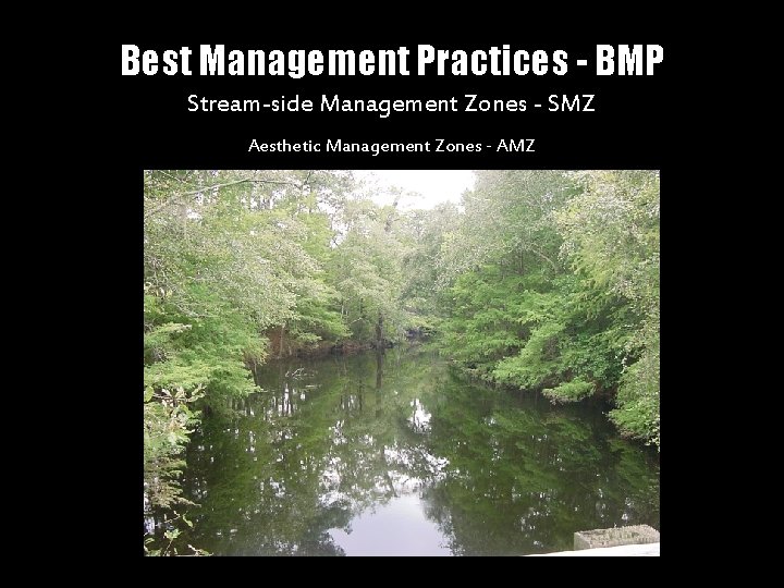 Best Management Practices - BMP Stream-side Management Zones - SMZ Aesthetic Management Zones -