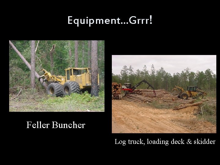 Equipment…Grrr! Feller Buncher Log truck, loading deck & skidder 