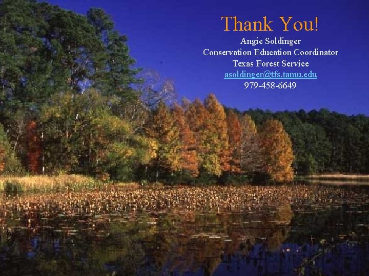 Thank You! Angie Soldinger Conservation Education Coordinator Texas Forest Service asoldinger@tfs. tamu. edu 979