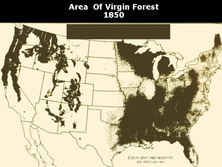 Area Of Virgin Forest 1850 