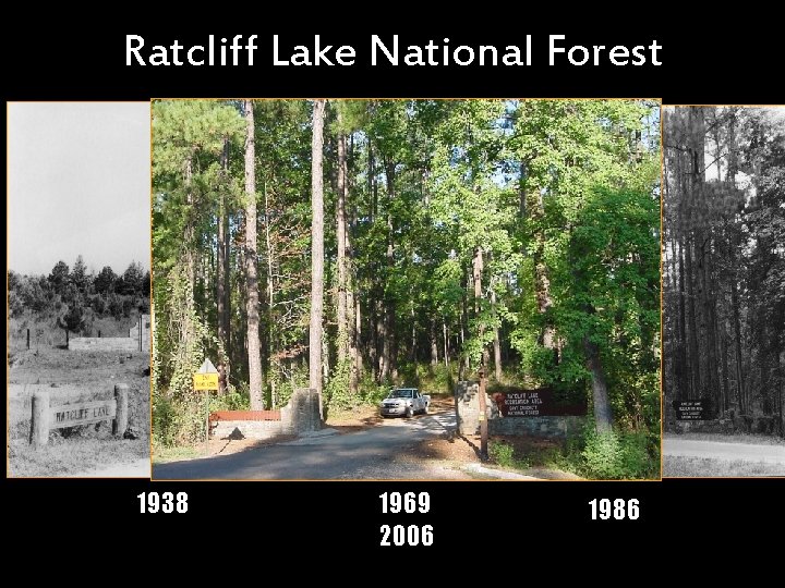 Ratcliff Lake National Forest 1938 1969 2006 1986 
