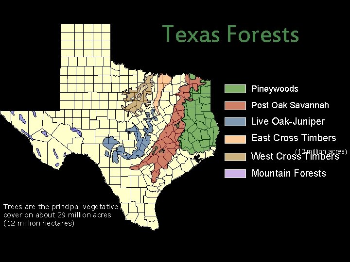 Texas Forests Pineywoods Post Oak Savannah Live Oak-Juniper East Cross Timbers (12 million acres)