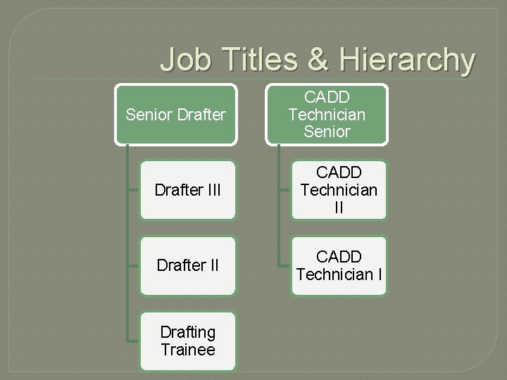 Job Titles & Hierarchy Senior Drafter CADD Technician Senior Drafter III CADD Technician II
