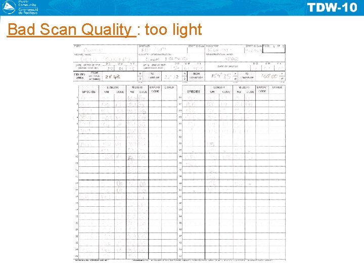 Bad Scan Quality : too light 