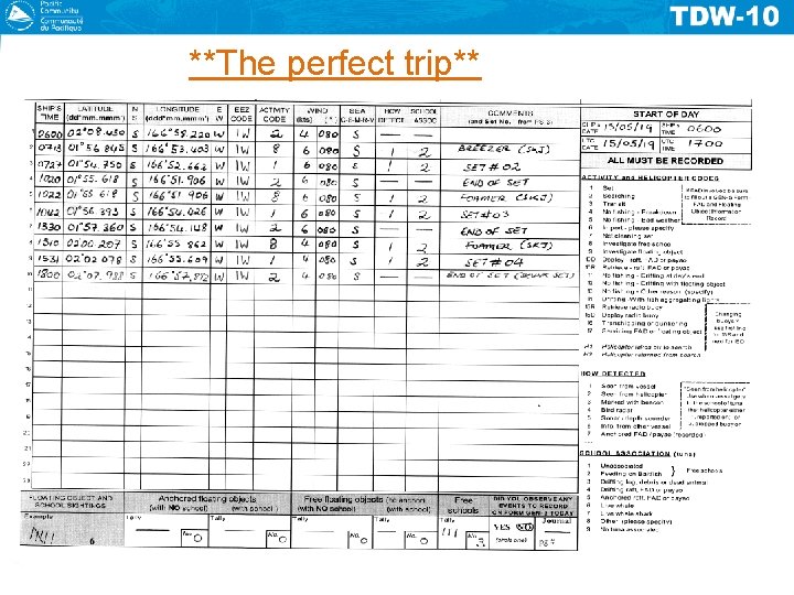 **The perfect trip** 