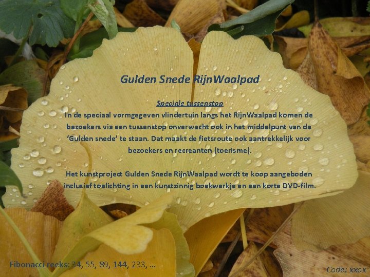 Gulden Snede Rijn. Waalpad Speciale tussenstop In de speciaal vormgegeven vlindertuin langs het Rijn.