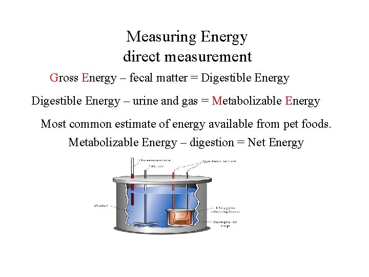 Measuring Energy direct measurement Gross Energy – fecal matter = Digestible Energy – urine