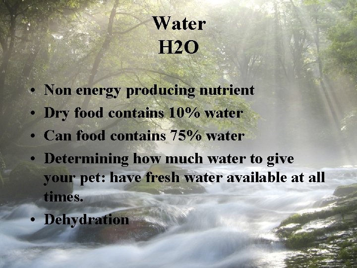 Water H 2 O • • Non energy producing nutrient Dry food contains 10%