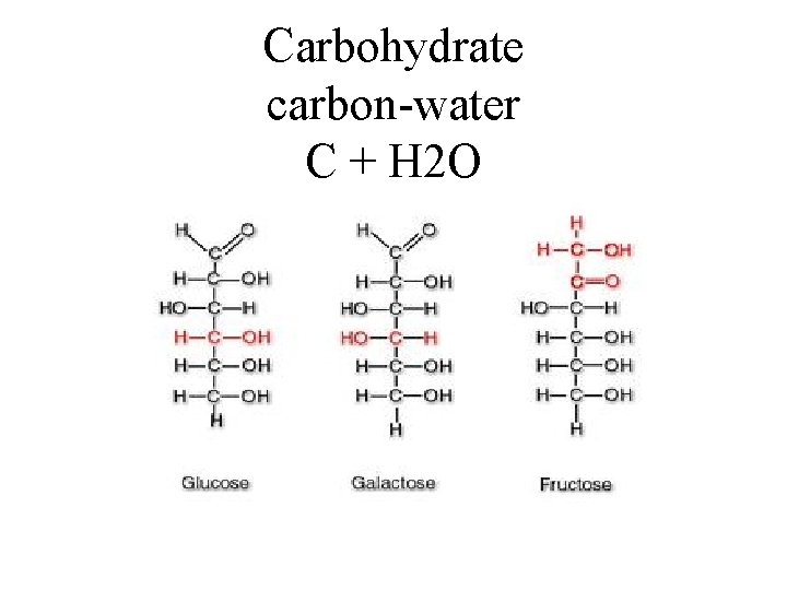 Carbohydrate carbon-water C + H 2 O 