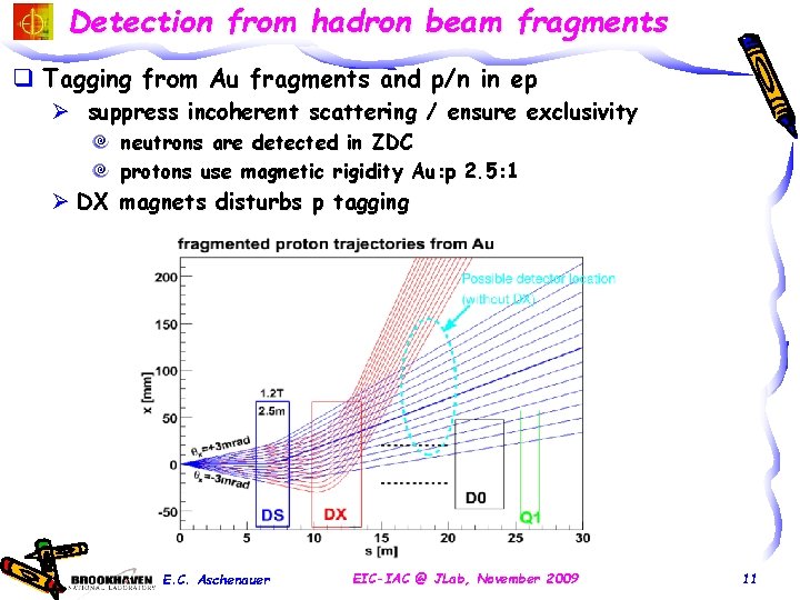 Detection from hadron beam fragments q Tagging from Au fragments and p/n in ep