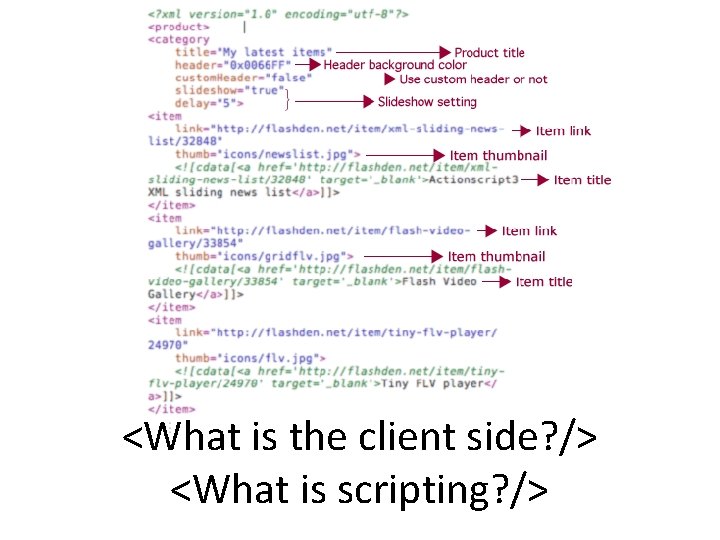 <What is the client side? /> <What is scripting? /> <What is the client side? /> <What is scripting? />