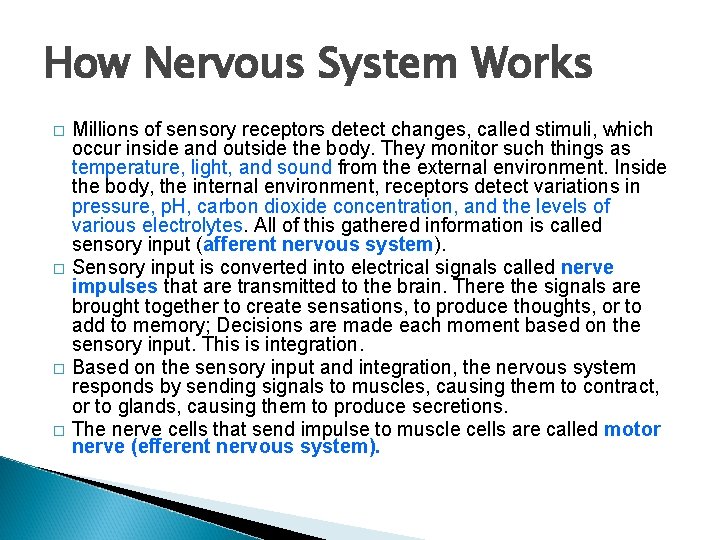 How Nervous System Works � � Millions of sensory receptors detect changes, called stimuli,