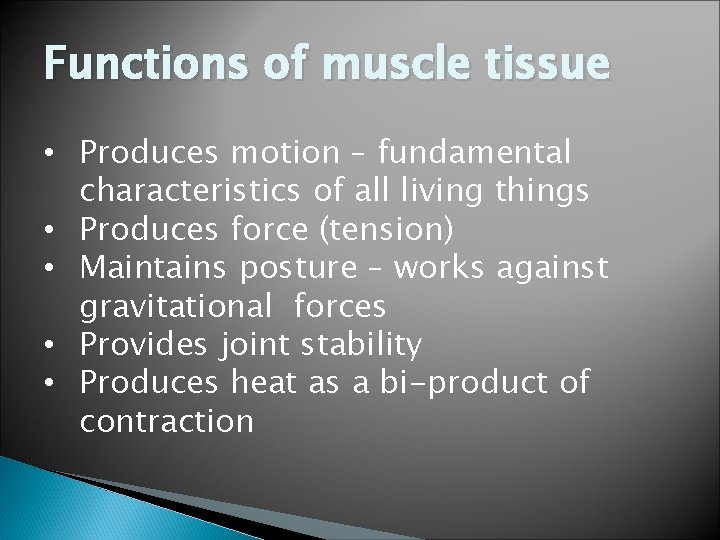 Functions of muscle tissue • Produces motion – fundamental characteristics of all living things