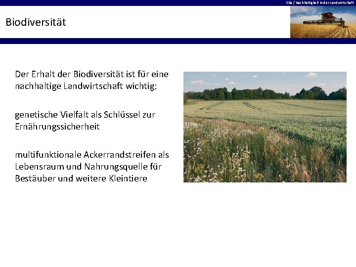 03 a / Nachhaltigkeit in der Landwirtschaft Biodiversität Der Erhalt der Biodiversität ist für