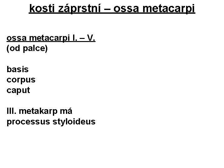 kosti záprstní – ossa metacarpi I. – V. (od palce) basis corpus caput III.