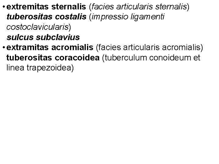  • extremitas sternalis (facies articularis sternalis) tuberositas costalis (impressio ligamenti costoclavicularis) sulcus subclavius
