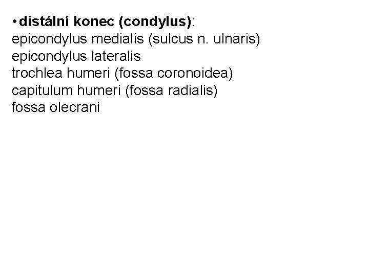  • distální konec (condylus): epicondylus medialis (sulcus n. ulnaris) epicondylus lateralis trochlea humeri