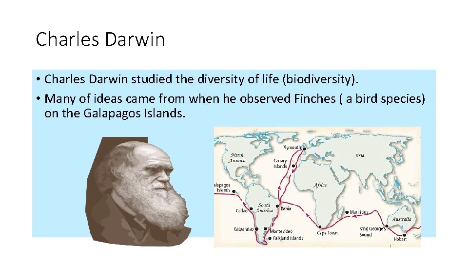 Charles Darwin • Charles Darwin studied the diversity of life (biodiversity). • Many of