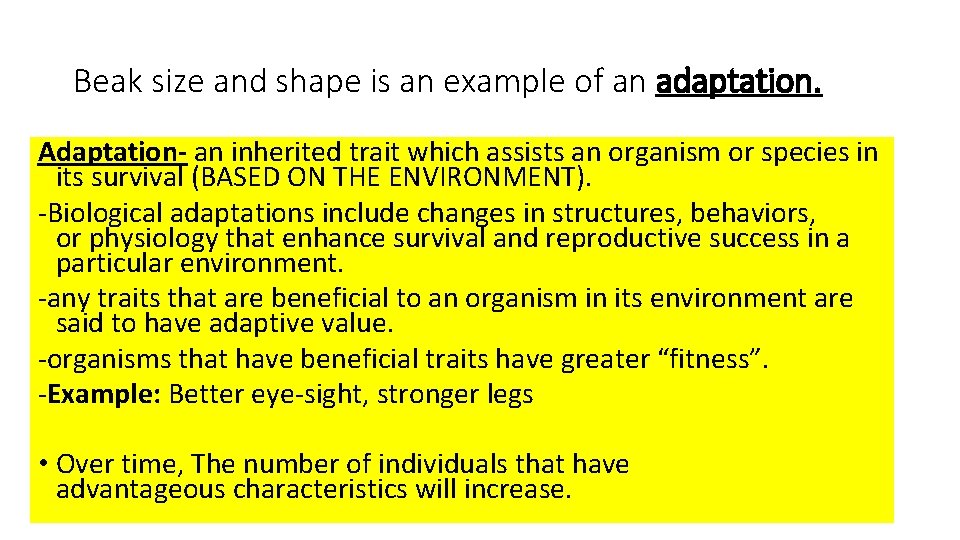 Beak size and shape is an example of an adaptation. Adaptation- an inherited trait