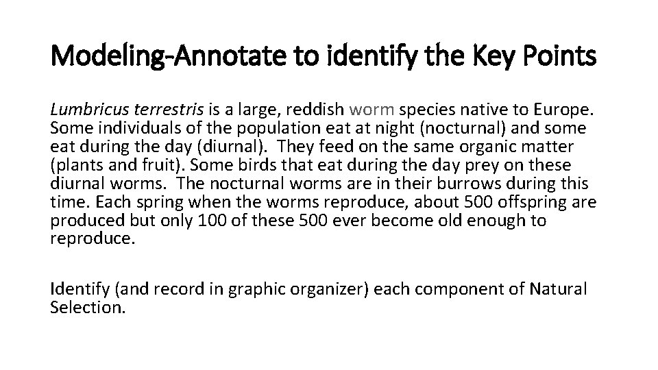 Modeling-Annotate to identify the Key Points Lumbricus terrestris is a large, reddish worm species