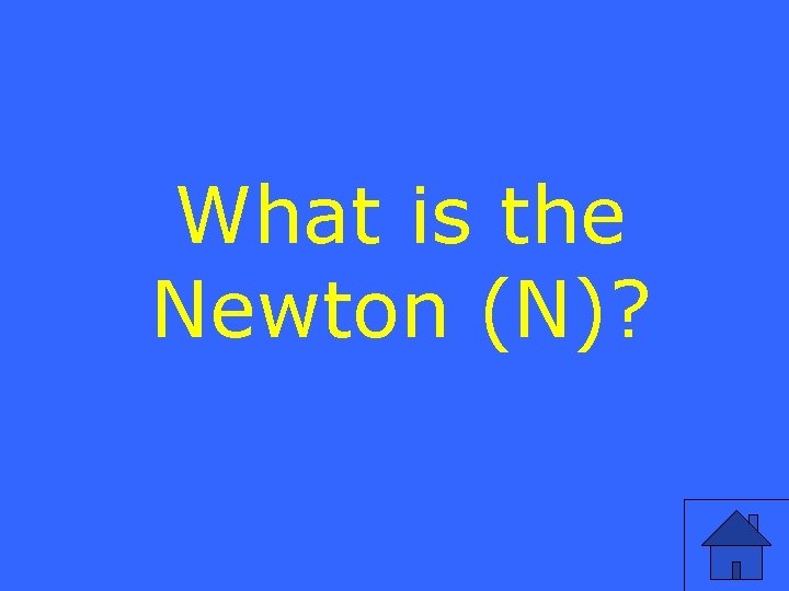 What is the Newton (N)? 