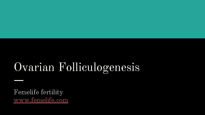 Ovarian Folliculogenesis Femelife fertility www. femelife. com 