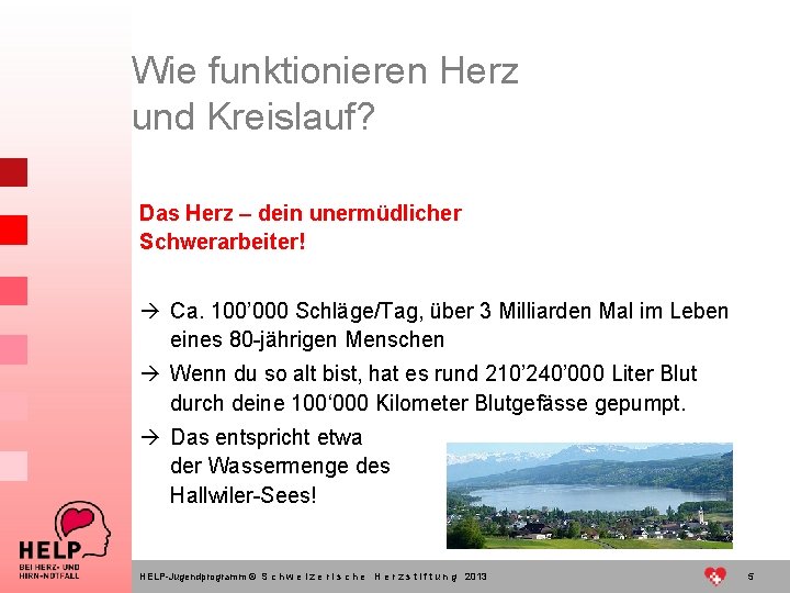 Wie funktionieren Herz und Kreislauf? Das Herz – dein unermüdlicher Schwerarbeiter! à Ca. 100’