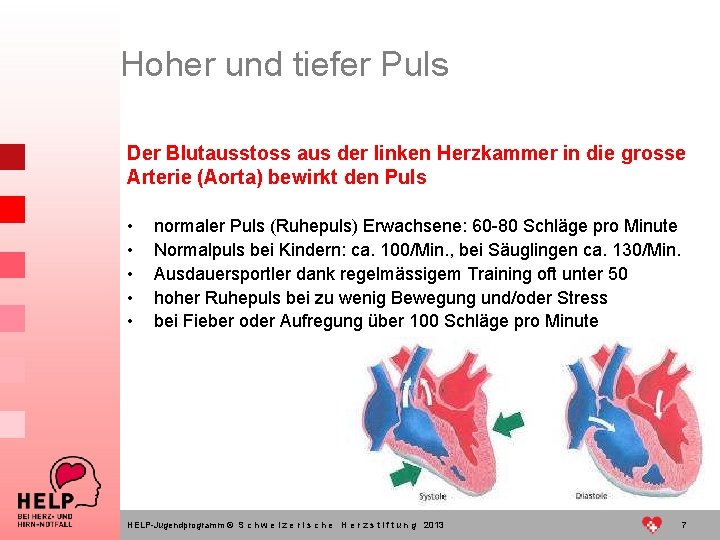 Hoher und tiefer Puls Der Blutausstoss aus der linken Herzkammer in die grosse Arterie