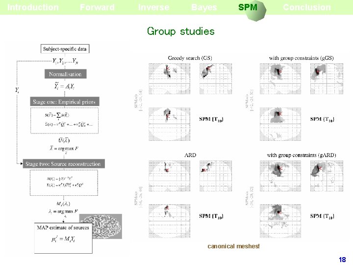 Introduction Forward Inverse Bayes SPM Source reconstruction for group studies Conclusion Group studies canonical