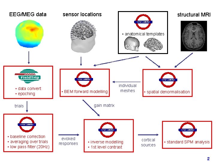 EEG/MEG data sensor locations structural MRI • anatomical templates • data convert • epoching