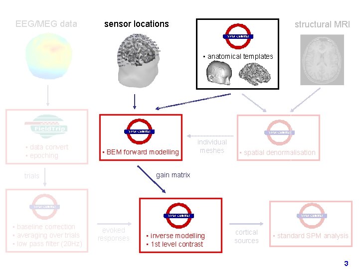 EEG/MEG data sensor locations structural MRI • anatomical templates • data convert • epoching