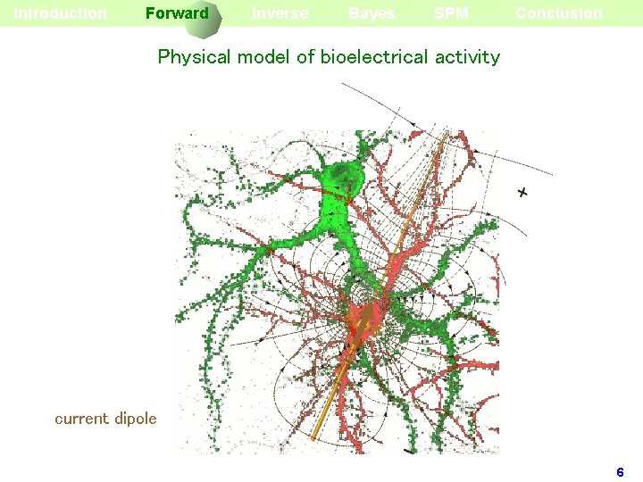 Introduction Forward Inverse Bayes SPM Conclusion Physical model of bioelectrical activity current dipole 6