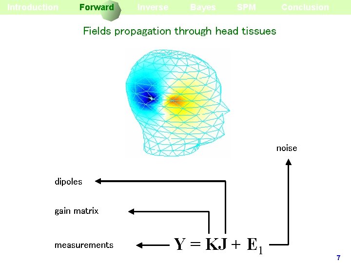 Introduction Forward Inverse Bayes SPM Conclusion Fields propagation through head tissues noise dipoles gain