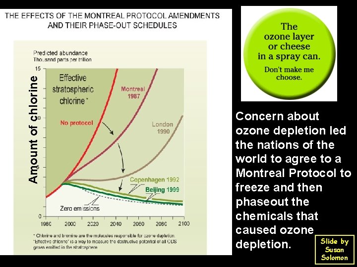 Amount of chlorine Concern about ozone depletion led the nations of the world to