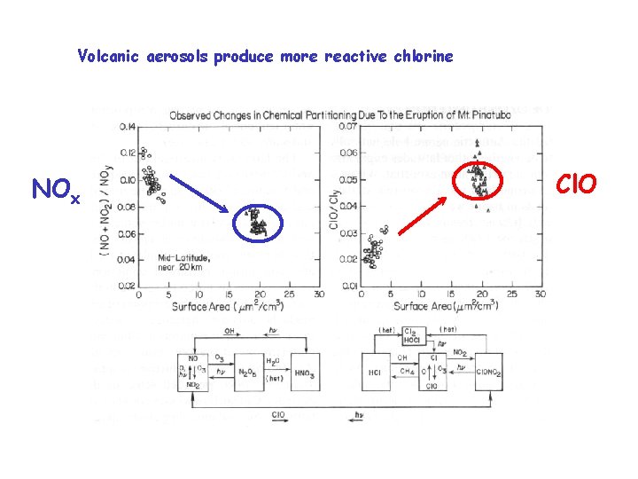 Volcanic aerosols produce more reactive chlorine Cl. O NOx Solomon (1999) 