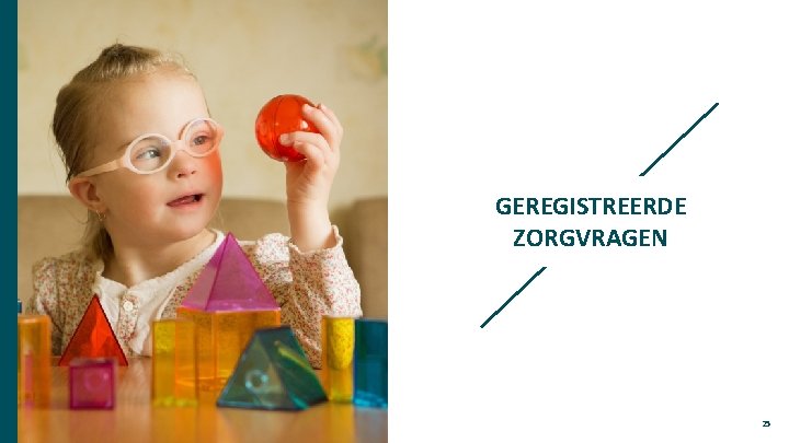 GEREGISTREERDE ZORGVRAGEN 25 