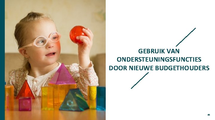 GEBRUIK VAN ONDERSTEUNINGSFUNCTIES DOOR NIEUWE BUDGETHOUDERS 45 