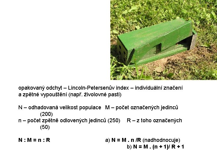 opakovaný odchyt – Lincoln-Petersenův index – individuální značení a zpětné vypouštění (např. živolovné pasti)