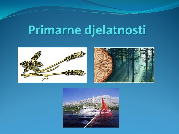 Primarne djelatnosti 