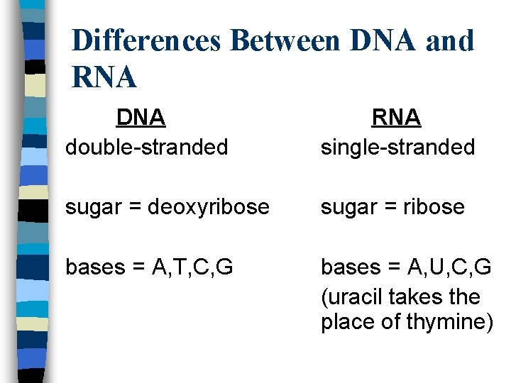 Differences Between DNA and RNA DNA double-stranded RNA single-stranded sugar = deoxyribose sugar =