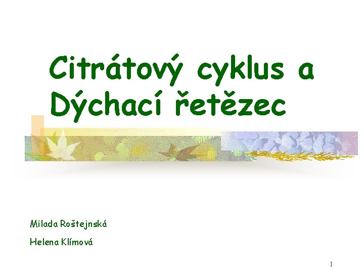 Citrátový cyklus a Dýchací řetězec Milada Roštejnská Helena Klímová 1 