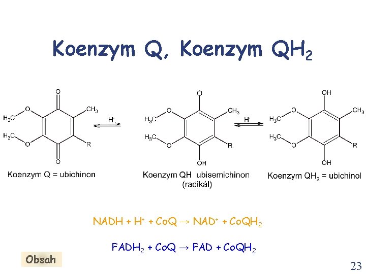 Koenzym Q, Koenzym QH 2 NADH + H+ + Co. Q → NAD+ +