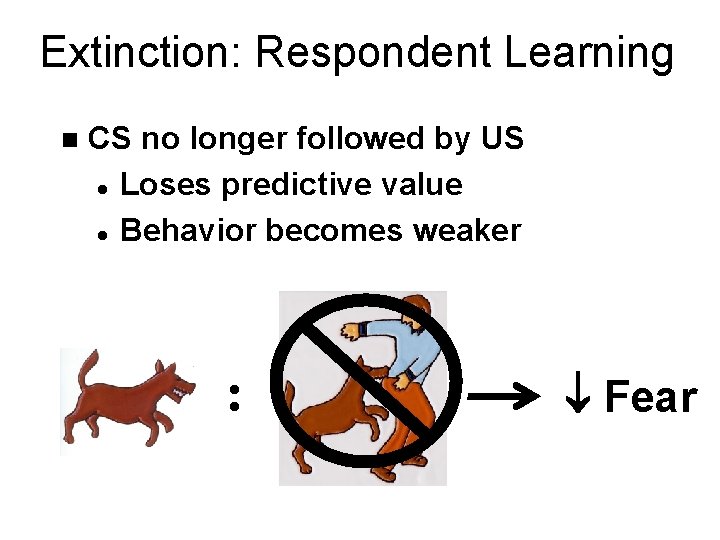 Extinction: Respondent Learning n CS no longer followed by US l Loses predictive value