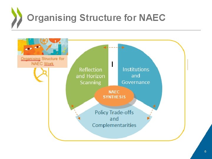 Organising Structure for NAEC 6 