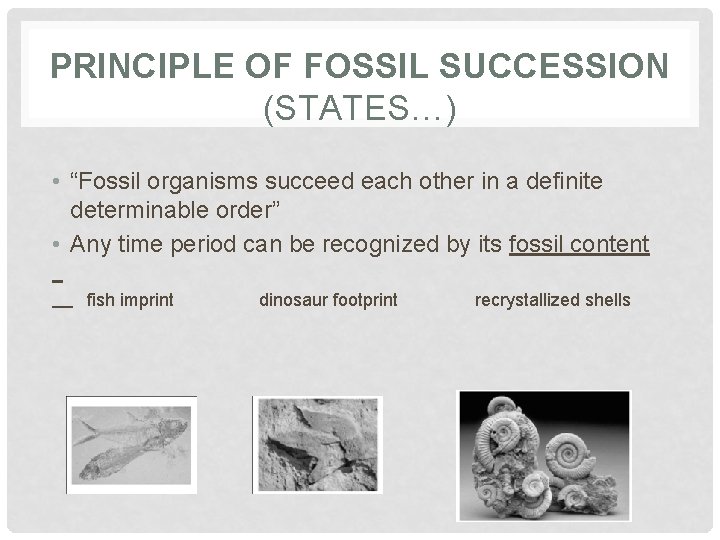 PRINCIPLE OF FOSSIL SUCCESSION (STATES…) • “Fossil organisms succeed each other in a definite